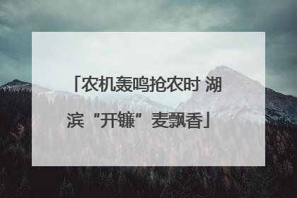 农机轰鸣抢农时 湖滨“开镰”麦飘香