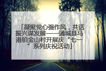 凝聚党心强作风，共话振兴谋发展——通城县马港镇金山村开展庆“七一”系列庆祝活动