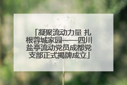 凝聚流动力量 扎根蓉城家园——四川盐亭流动党员成都党支部正式揭牌成立
