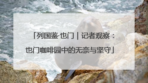 列国鉴·也门｜记者观察：也门咖啡园中的无奈与坚守