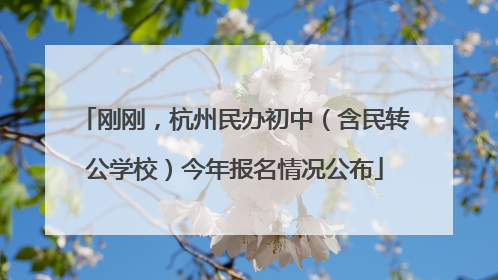 刚刚，杭州民办初中（含民转公学校）今年报名情况公布