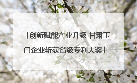 创新赋能产业升级 甘肃玉门企业斩获省级专利大奖
