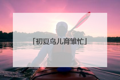 初夏鸟儿育雏忙