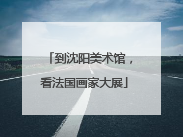 到沈阳美术馆，看法国画家大展