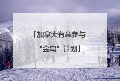 加拿大有意参与“金穹”计划