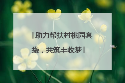 助力帮扶村桃园套袋，共筑丰收梦