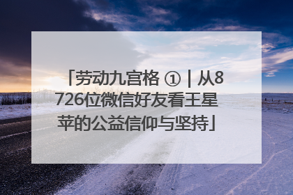 劳动九宫格 ①｜从8726位微信好友看王星苹的公益信仰与坚持
