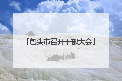 包头市召开干部大会