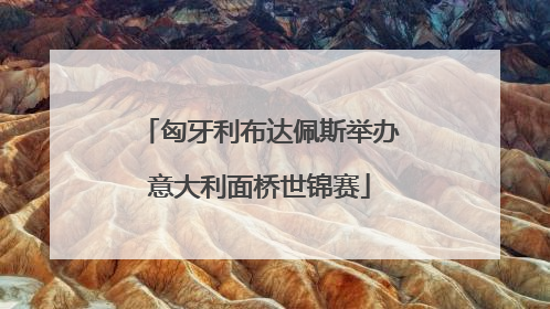 匈牙利布达佩斯举办意大利面桥世锦赛