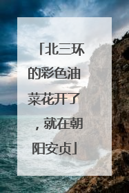北三环的彩色油菜花开了，就在朝阳安贞