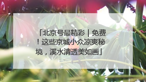 北京号最精彩｜免费！这些京城小众凉爽秘境，溪水清透美如画