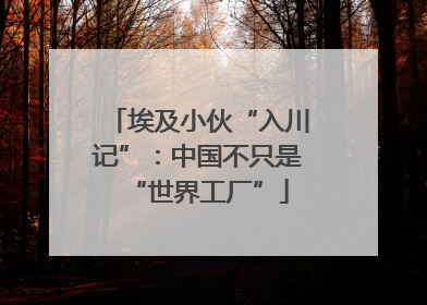 埃及小伙“入川记”：中国不只是“世界工厂”