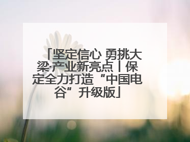 坚定信心 勇挑大梁·产业新亮点丨保定全力打造“中国电谷”升级版
