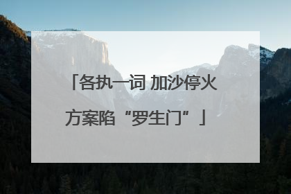 各执一词 加沙停火方案陷“罗生门”