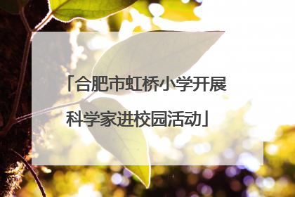 合肥市虹桥小学开展科学家进校园活动