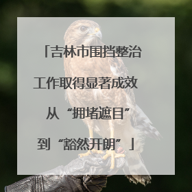 吉林市围挡整治工作取得显著成效 从“拥堵遮目”到“豁然开朗”