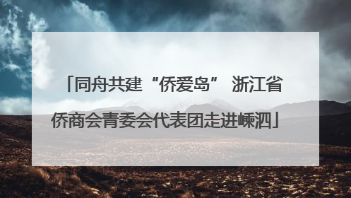 同舟共建“侨爱岛” 浙江省侨商会青委会代表团走进嵊泗