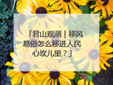 君山观潮｜移风易俗怎么移进人民心坎儿里？