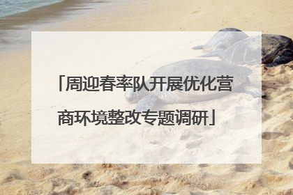 周迎春率队开展优化营商环境整改专题调研