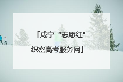 咸宁“志愿红”织密高考服务网