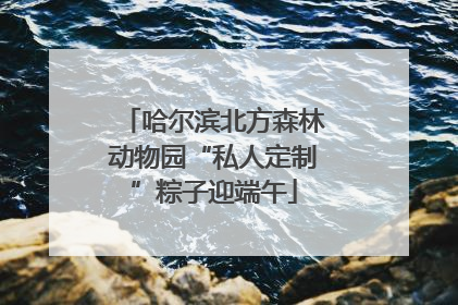 哈尔滨北方森林动物园“私人定制”粽子迎端午