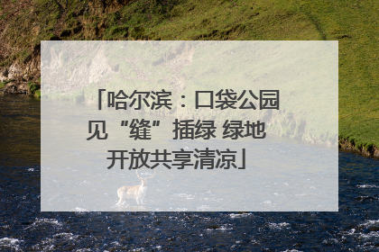 哈尔滨：口袋公园见“缝”插绿 绿地开放共享清凉