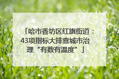 哈市香坊区红旗街道：43项指标大排查城市治理“有数有温度”