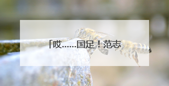 哎……国足！范志毅昨晚一度语塞！