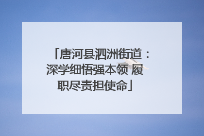 唐河县泗洲街道：深学细悟强本领 履职尽责担使命