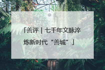 善评｜七千年文脉淬炼新时代“善城”