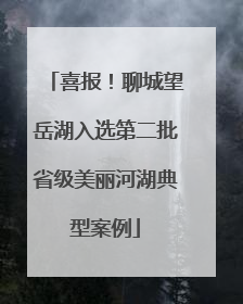 喜报！聊城望岳湖入选第二批省级美丽河湖典型案例