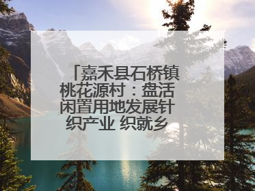 嘉禾县石桥镇桃花源村：盘活闲置用地发展针织产业 织就乡村振兴新图景