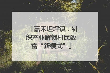 嘉禾坦坪镇：针织产业解锁村民致富“新模式”