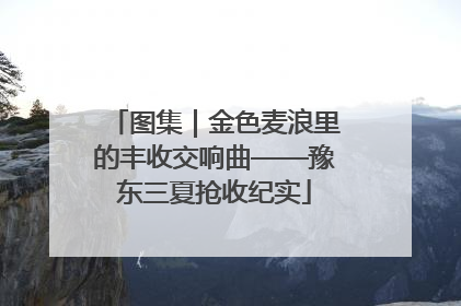 图集｜金色麦浪里的丰收交响曲——豫东三夏抢收纪实