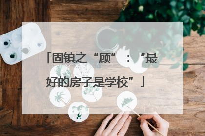 固镇之“顾”：“最好的房子是学校”
