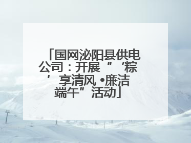 国网泌阳县供电公司：开展“‘粽’享清风 •廉洁端午”活动