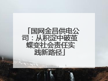 国网金昌供电公司：从积淀中破茧 蝶变社会责任实践新路径