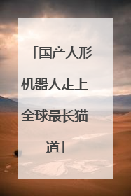 国产人形机器人走上全球最长猫道