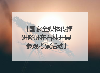 国家全媒体传播研修班在石林开展参观考察活动
