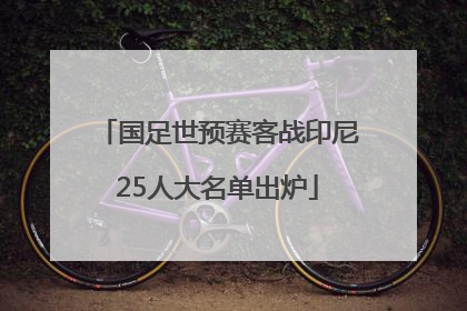 国足世预赛客战印尼25人大名单出炉