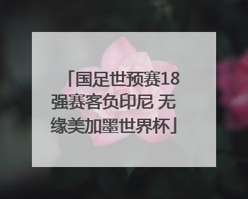 国足世预赛18强赛客负印尼 无缘美加墨世界杯