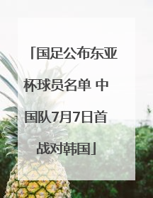 国足公布东亚杯球员名单 中国队7月7日首战对韩国
