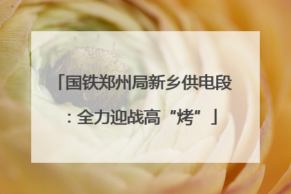 国铁郑州局新乡供电段：全力迎战高“烤”