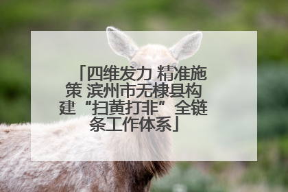 四维发力 精准施策 滨州市无棣县构建“扫黄打非”全链条工作体系