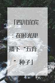 四川宜宾：在时光里播下“五育”种子