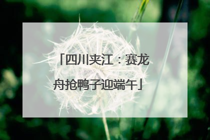 四川夹江：赛龙舟抢鸭子迎端午