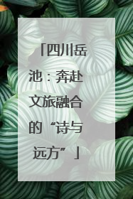 四川岳池：奔赴文旅融合的“诗与远方”
