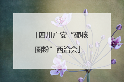四川广安“硬核圈粉”西洽会