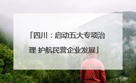 四川：启动五大专项治理 护航民营企业发展