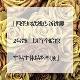 四条地铁线传新进展 2号线二期首个暗挖车站主体结构封顶